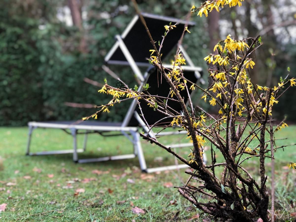 אוטרלו Veluwe Nature Home - 2-4 Persons מראה חיצוני תמונה