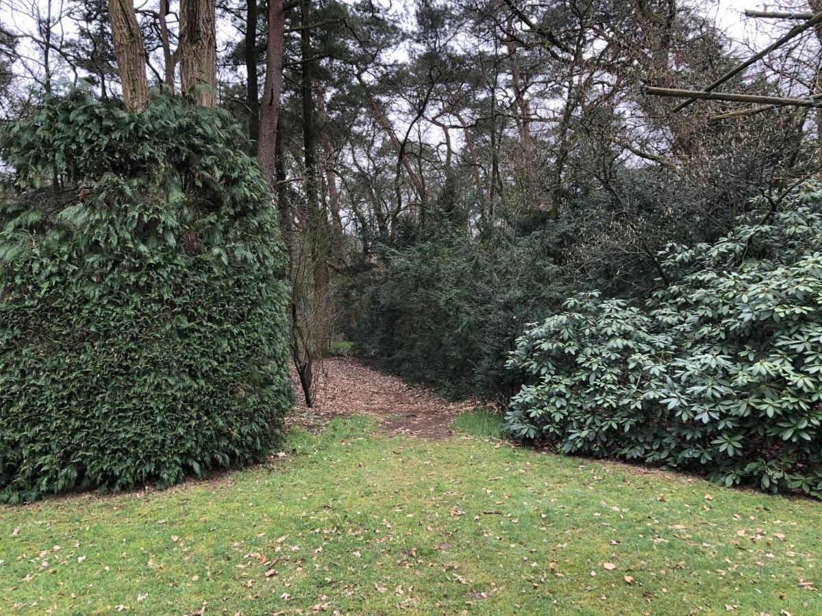 אוטרלו Veluwe Nature Home - 2-4 Persons מראה חיצוני תמונה